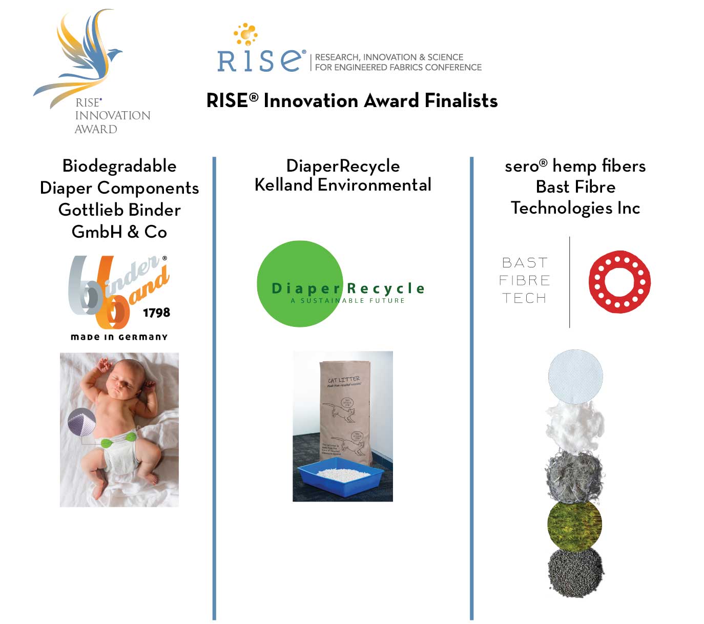 RISE Innovation Award